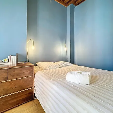 Le Cocon Canut - Hypercentre Apartman Lyon